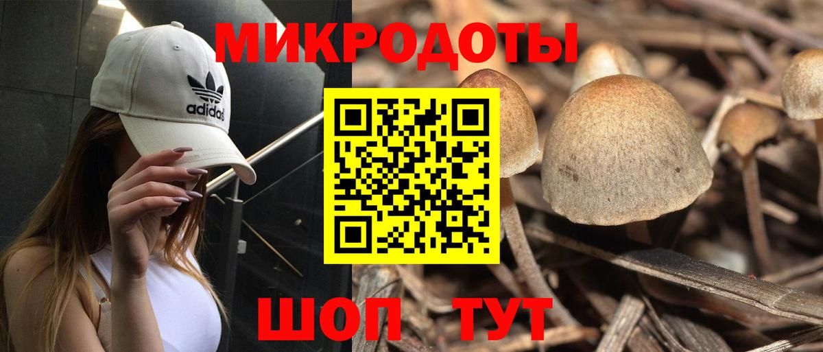 Реж  Галлюциногенные грибы Cubensis  Вход с VPN 